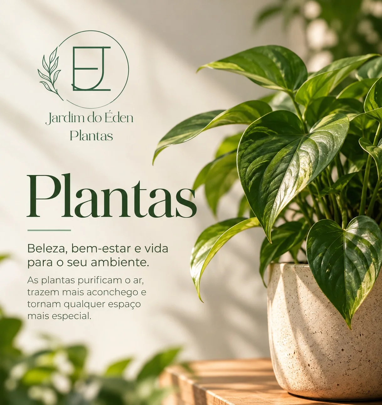 Plantas: beleza, bem-estar e vida para o seu ambiente, com planta de folhas verdes em vaso de cerâmica