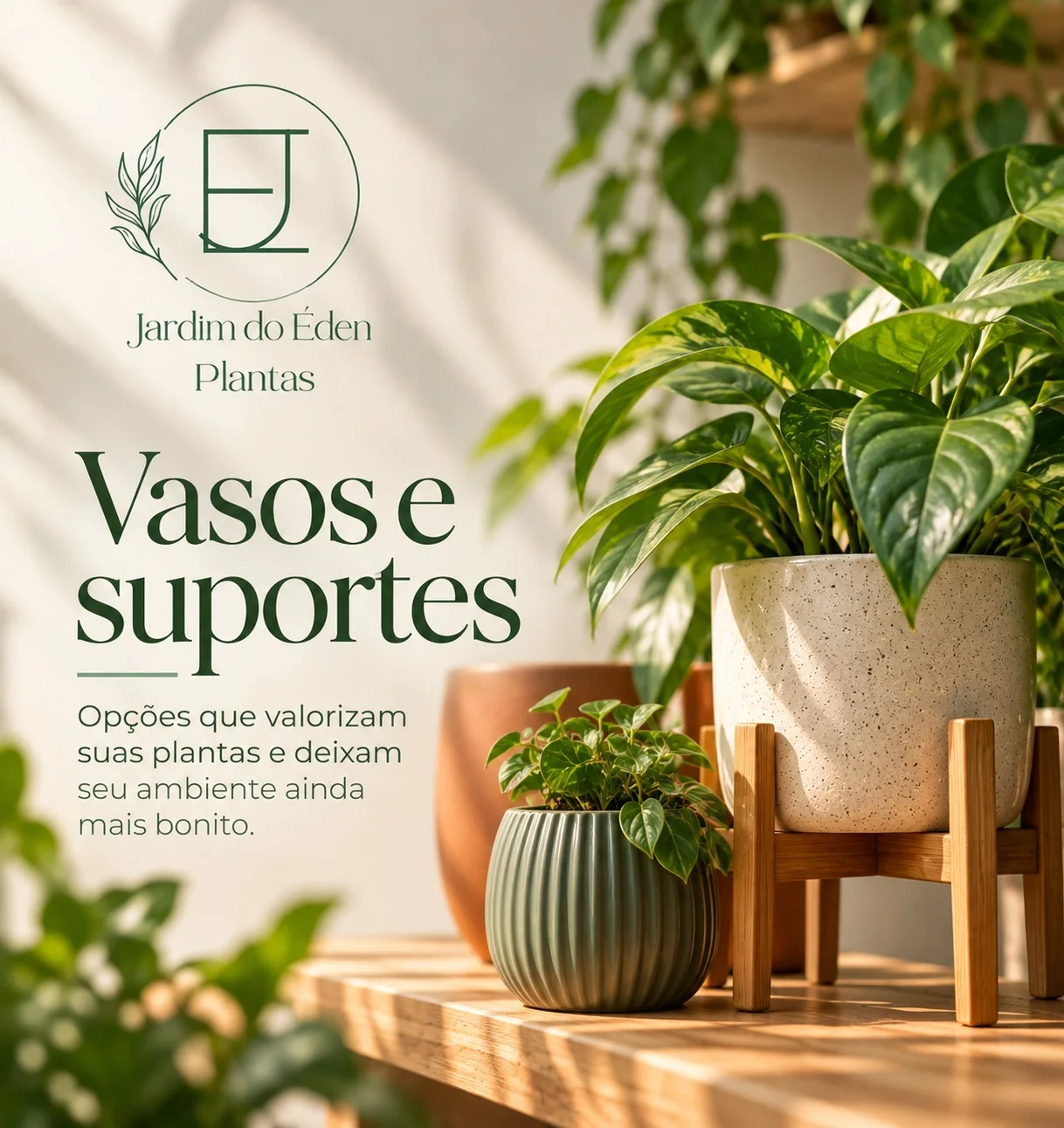 Vasos e suportes: opções que valorizam as plantas, com vasos de cerâmica e suporte de madeira